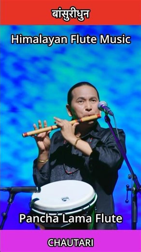 Amazing Flute Music | Bansuri Dhun | Instrumental Music | Krishna Flute #flute #flutemusic #shorts