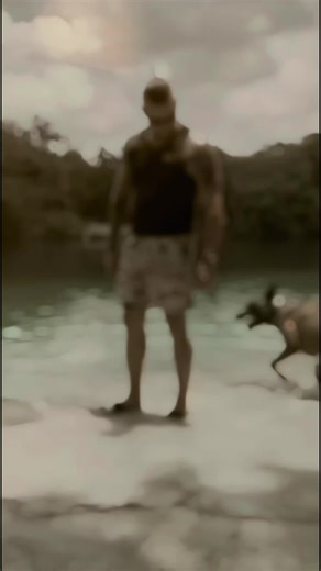 Effective Dog Training Tips for All Breeds