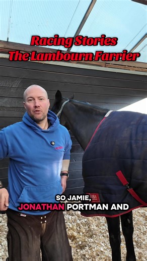 How Horses Get Their Shoes Changed: A Calm Process