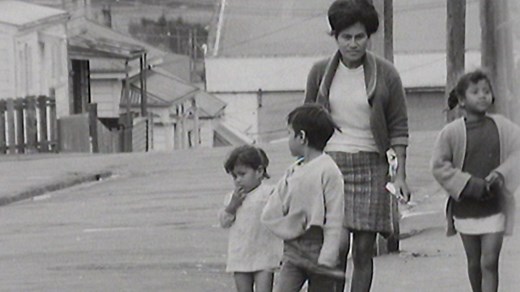 Quotes | Dawn Raids | Television | NZ On Screen