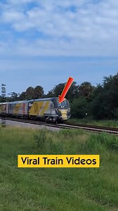 Viral Train Videos | Animal Therapy
