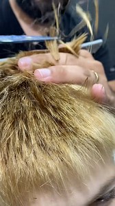 Real Barber #ASMR #asmrbarber #asmrbarbershop #asmr #asmr #asmrbarber #asmrsounds #asmrbarbershop #tesouraasmr #asmrcortedecabello #asmrbarber #asmrbarbershop #cortedecabelo #asmrbrasil | Barbershop Haircut