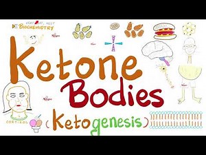 Urine Ketone Bodies - Ketosis and Ketoacidosis - Lab Chemistry