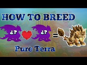 How To Breed Pure Terra Dragon || Dragon City