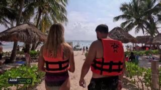 Marco nos lleva a observar tortugas marinas en su hábitat natural en Tulum, la costa caribeña de México Vídeo completo 👇 http://csur.red/ELYq50VYIt2 📲 #AxMTulum ✈️ Andaluces AXM ♾️ #SiempreCanalSur | CanalSur Radio y Televisión