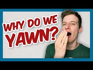 Why Do We Yawn? (And why is it contagious?)