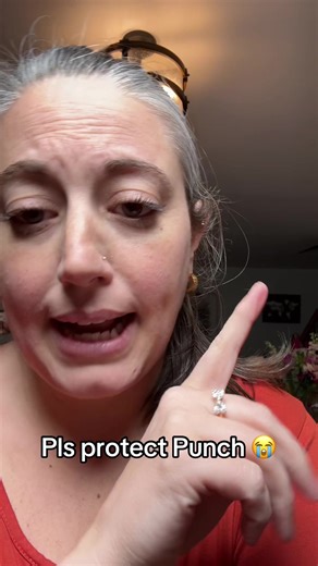 I can’t keep sobbing about this baby monkey…..figure it out | Baby Monkey