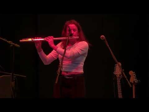 Dust Bunnies From Outer Space - "Disco Trees" - AVONlive