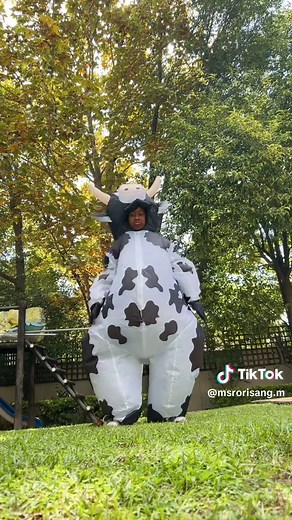 Best Cow Costume Ideas for Creative Events