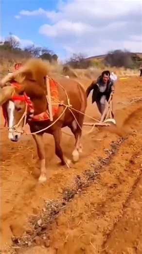 Unveiling the Hidden Life of My Rural Hometown: A Journey You Can't Miss