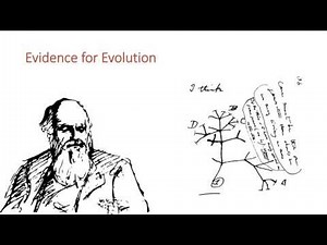 Evidence for Evolution