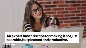 4.7K views · 11 reactions | An expert's three tips for making WFH not just bearable — but pleasant and productive. https://trib.al/drSSv2a | Bloomberg Asia | Facebook