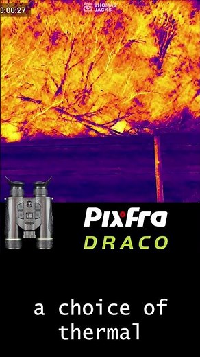 Pixfra Draco multispectral binoculars finding birds in trees #thermal #birdwatching #binoculars