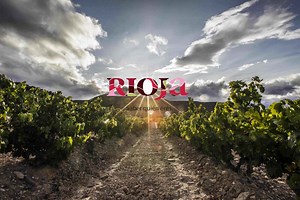 3-Day Vacation in RIOJA -