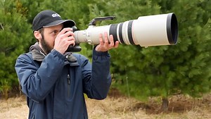 Wildlife Photography 101: Quickly Find Birds In Your Camera's Viewfinder Using Telephoto Lenses | Fstoppers