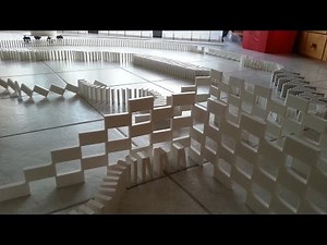 Color Changing Dominoes (White & Black)