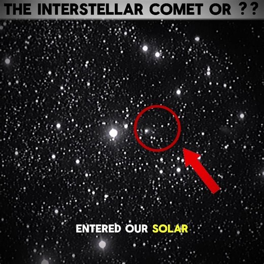 "In 2017 Something Entered Our Solar System. It Watched Us."