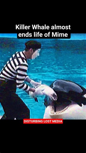 Killer Whale attempts to eat Worker
