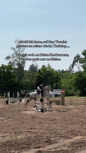 Lustige Einblicke ins Turnierreiten mit kleinen Pferden