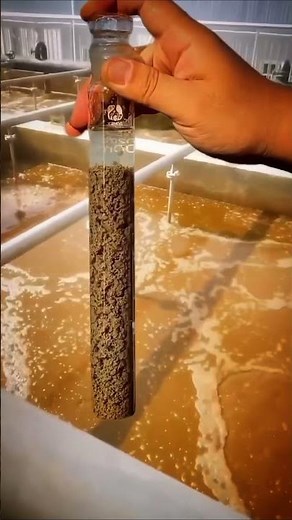 KOAGULASI & FLOKULASI WATER TRATMENT PLANT #koagulasi #flokulasi #coagulation #biogas #water