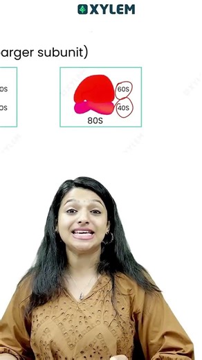 ഈ ചോദ്യം 1 മിനുറ്റിൽ പഠിക്കാം !