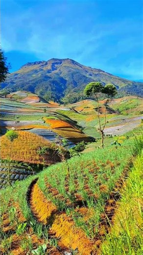 THIS IS SO BEAUTIFUL😍 #nature #beatifulnature #travel #mountains