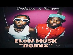Shallipopi ft. Zlatan – Elon Musk (Remix)