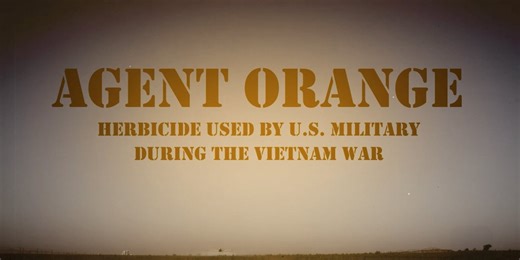 The lingering war: Vietnam vets’ battle over Agent Orange