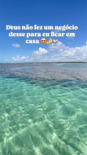 As águas claras do Nordeste mais a formação da barreira de arrecifes 😍 Venham viver os melhores destinos do Brasil. Nossa agência proporciona essas experiências diariamente com saída de Porto de Galinhas. #portodegalinhas #porto #destino #praia🌊