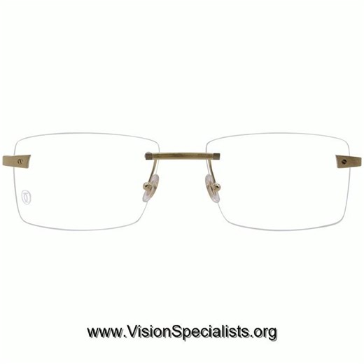 Cartier CT0167O Eyeglasses Mens Rimless Rectangle Shape Gold004