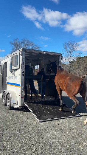 Mounts Remy and Binx are loaded up and headed down to the annual Cape May County Sheriffs Mounted Police Training. They will be joined by Jake, Angus, Kodiak, and Wyatt. We look forward to this training every year! Safe travels! | NJSP Mounted Unit & Field Riders