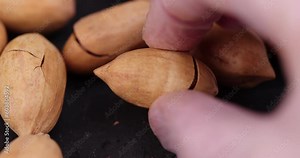cracked unpeeled pecans close-up on the table, a pile of pecans in the shell