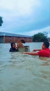 21K views · 178 reactions | "Salute to Arambai Tengol: Heroes in the Flood Rescue Mission " #Manipur #flood #reel #highlights #kanglei_insta_reels #virals #manipuri #arambaitengol | Noren Laishram | Facebook