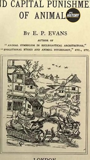 Ancient Animal Trials: When Beasts Were Tried Like Humans #Animals #ItsHistory #History | It's History