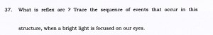 What is reflex arc ? Trace the sequence of events that occur in... | Filo