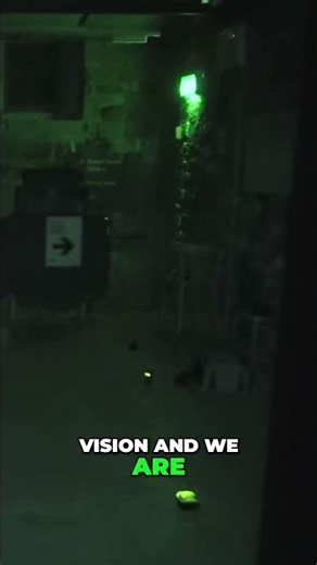 Night Vision & Thermal: Testing Its Response To Commands! #shorts