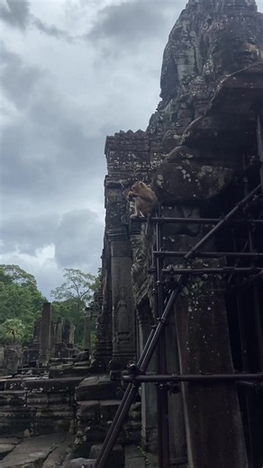 Just incredible. Siem Reap is so unique. I will be back. #bayontemple#ankor#cambodia#cambodiatiktok#temples
