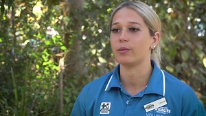 46K views · 7.9K reactions | Koala in a police car!  Tucker the...