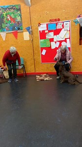 The Mexican Wave of Puppy Push ups, spot the odd dog out, but the one who greeted me enthusiastically before starting any exercise of the evening. I shall miss all of ‘my dogs’ in all of the classes, but hopefully there will be an occasional catch up🥹🥹 | FIDO Dog Training Club & Behaviourist