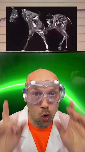 Doctor NOS (@doctornos)’s videos with original sound - Doctor NOS