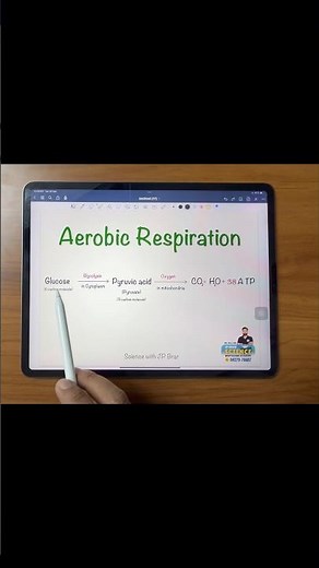 Aerobic Respiration Explained in 40 Seconds | Glycolysis & Krebs Cycle Simplified