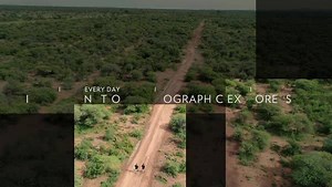 49K views · 1.3K reactions | "I'm a cheetah match-maker." Cheetahs...