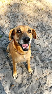 49 reactions | Meet Joyce, the smiliest girl you’ll ever meet! 李...