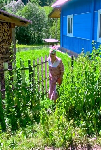 🏔️ Woman Living Alone in the Ukrainian Mountains | Cooking Trout & Harvesting Honey 🐟🍯#MountainLife #SimpleLiving #VillageLife #NatureLovers #LifeInNature | Hengtola HD