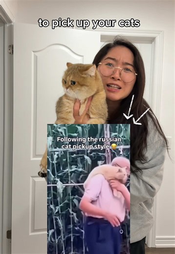 Would you try this with your cats 😂? #cat | cat