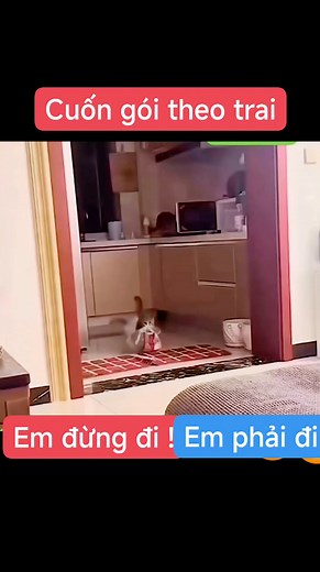 833K views · 4.7K reactions | Cuốn gói theo trai. | Kênh Giải Trí Tổng Hợp | Facebook