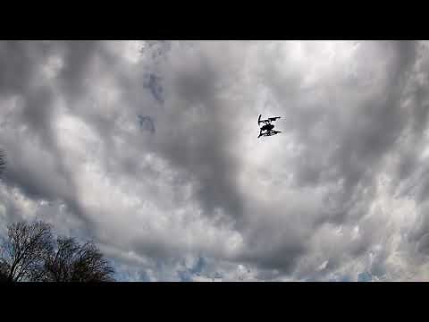 World Tech Elite Mini Orion Drone(Flight Review)