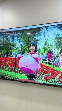 What's so special about the Xiaomi A Pro QLED 65-inch 2026 TV? A real-world look at it at Custome...