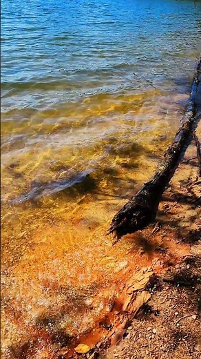 Summer Days at Lake Lanier: Boating and Scenic Views in Gainesville, Georgia