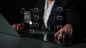 Digital File Directory and Folder Organization Structure Marrow